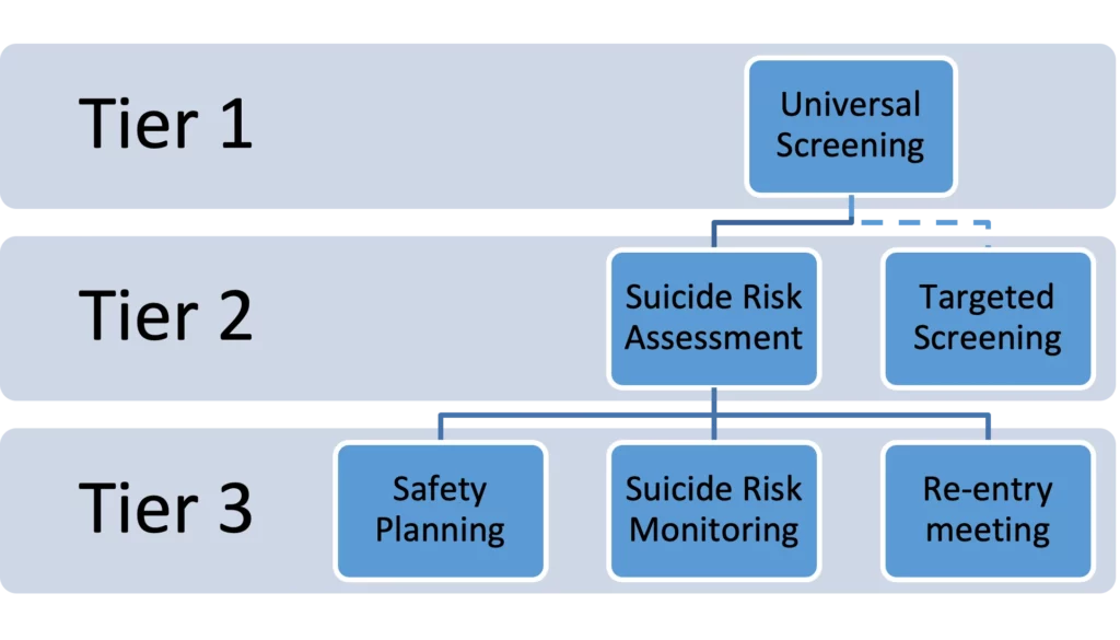 Suicide In Schools Model Chart